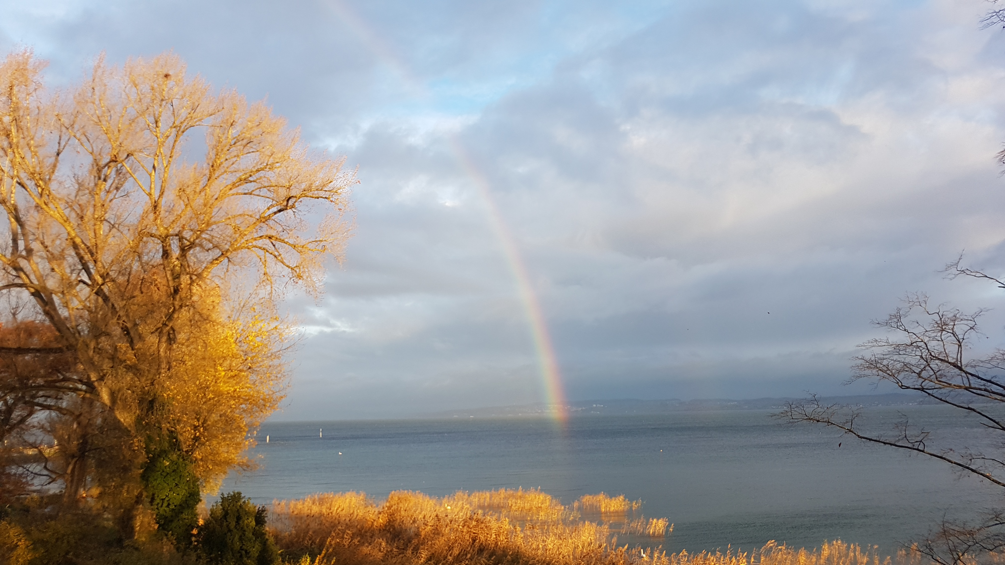 Craniosacral - Therapie